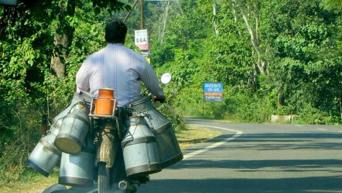 Beli Susu India