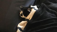 Yah, beginilah ketika rekan kerjamu tidak perduli dengan kondisi ekonomi saat ini. Istimewa/Dok. Boredpanda