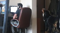 Ketika kamu videocall namun ada bantuan lagu pengiring dari belakangnya. Istimewa/Dok. Boredpanda.