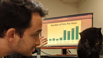 Berbicara pada kucing. Foto: Bored Panda