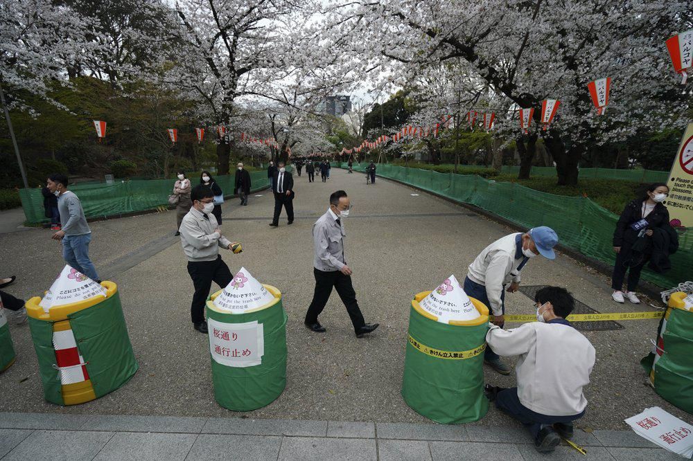 Taman Bunga Sakura di Tokyo Ditutup untuk Cegah Corona 