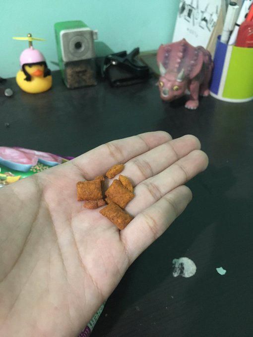 Cicipi Makanan Kucing, Netizen Ini Viral di Media Sosial