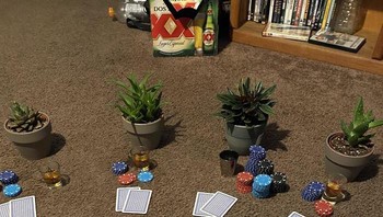 Main kartu dengan lawan vas bunga karena tidak ada teman. Foto: Bored Panda