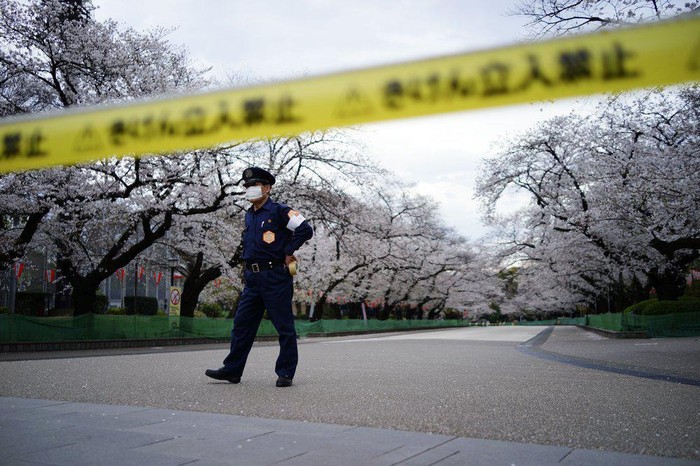 Taman Bunga Sakura di Tokyo Ditutup untuk Cegah Corona