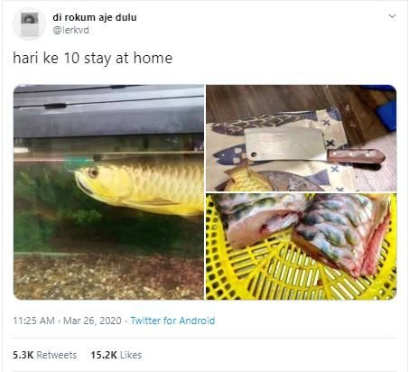 Bikin Netizen Geger, Pria Ini Masak Ikan Arwana Seharga Rp 15 Juta!