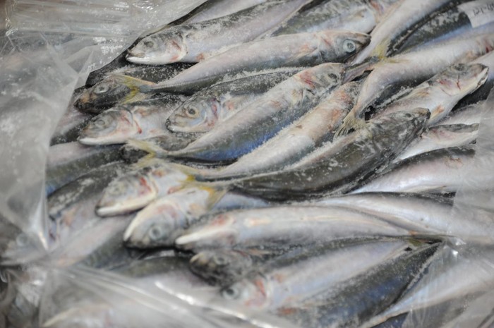 ikan beku
