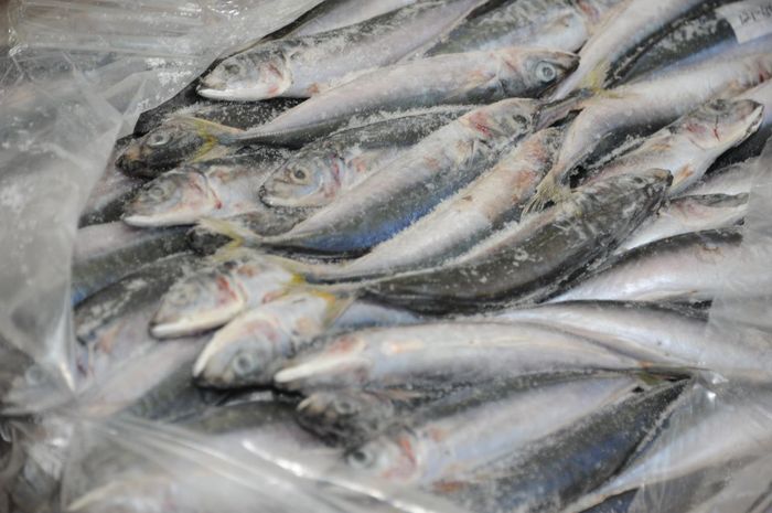 ikan beku ikan beku