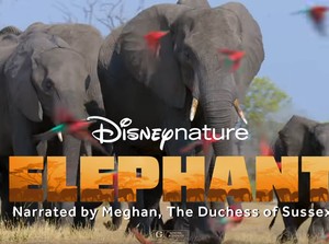 Ini Proyek Pertama Meghan Markle Jadi Pengisi Suara Disney