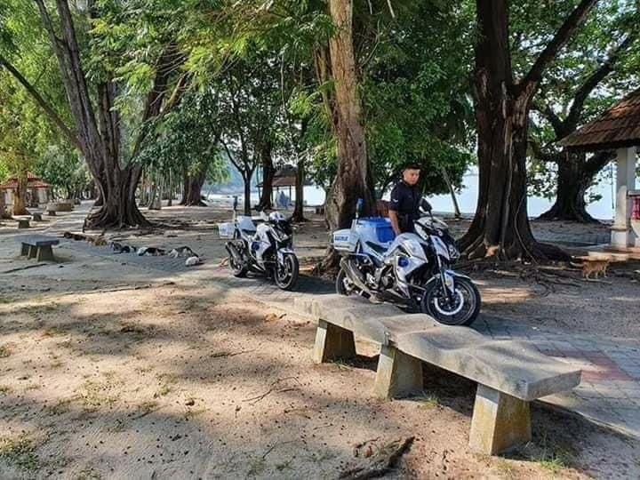 Bikin Haru, Polisi Ini Kasih Makan 20 Kucing Jalanan yang Kelaparan
