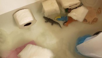 Di saat dunia berebut tisu, anak kecil di rumah tersebut malah memasukkan segala macam benda termasuk tisu ke dalam bathtub. Tidaaak! Foto: dmclb via Bored Panda