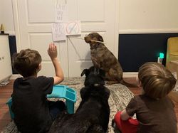 Momen Kocak Netizen saat Harus Jaga Anak Sambil Work from Home