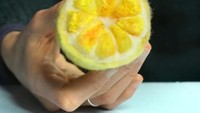 Lemon yang berukuran cukup besar ini juga terbuat dari bahan wol. Andrea Love pun membagikan caranya membuat miniatur tersebut di akun Instagram pribadinya. Foto: Instagram @andreaanimates