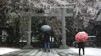 Sejumlah warga tampak beraktivitas di salah satu kuil yang berada di kawasan Tokyo, saat bunga Sakura tengah bermekaran, Minggu (29/3/2020). AP Photo/Jae C. Hong.