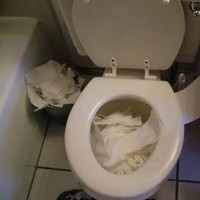 Lagi-lagi insiden tisu toilet terjadi. Kali ini seorang netizen menyesali nasibnya yang harus kehilangan satu roll tisu toilet yang diceburkan anaknya ke dalam toilet padahal tisu tersebut kini jadi barang langka. (Foto: Dok. Bored Panda)