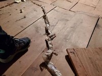 Kejadian Sial Saat Isolasi di Rumah