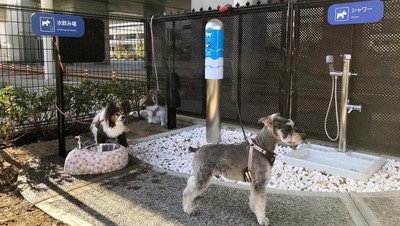 Foto: Bandara Osaka Punya Toilet Anjing Pertama di Dunia