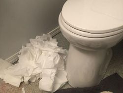 Aneka Kejadian Sial Saat Diam di Rumah Karena Corona