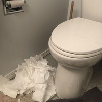 Lockdown dan karantina membuat orang-orang di negara Eropa dan Amerika berburu tisu toilet. Tisu toilet pun jadi barang langka. Sialnya, pemilik foto ini hanya bisa pasrah saat kucingnya bermain-main dengan tisu toilet. (Foto: Dok. Bored Panda)