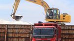 Target Produksi Garam Nasional