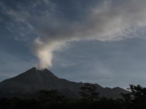 Video Erupsi Merapi, Semburkan Abu Setinggi 3000 Meter