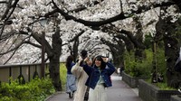 Warga pun antusias mengabadikan momen bermekarannya bunga-bunga sakura tersebut. AP Photo/Kiichiro Sato.