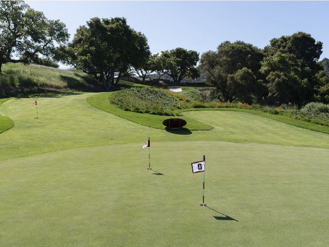 Dengan halaman yang luas, tak heran bila pemilik memanfaatkannya sebagai lapangan golf. Mewah! (Foto: Dok. REX Real Estate via Business Insider)