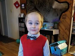 Aneka Kejadian Sial Saat Diam di Rumah Karena Corona