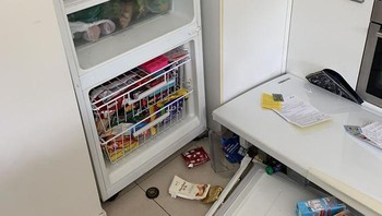 Lagi isolasi di rumah, pintu kulkas lepas (Boredpanda)