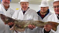 PM Johnson kerap menyambangi masyarakat Inggris ketika kampanye Brexit. Salah satunya momen mampir ke pasar ikan untuk bertemu para penjual di sana. Foto: Instagram borisjohnsonuk