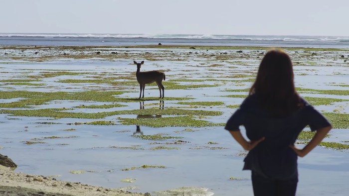 Kulari ke Pantai