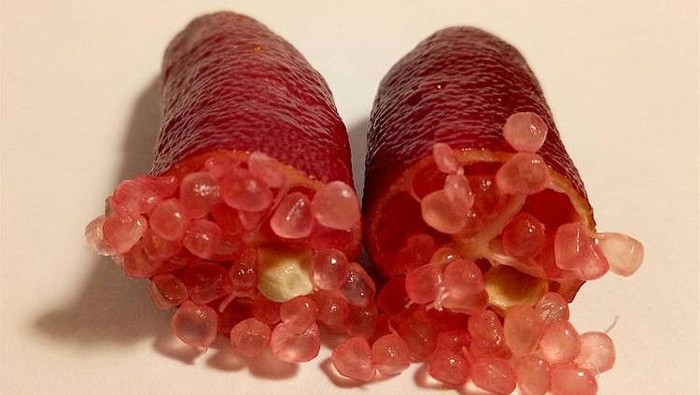 Finger lime