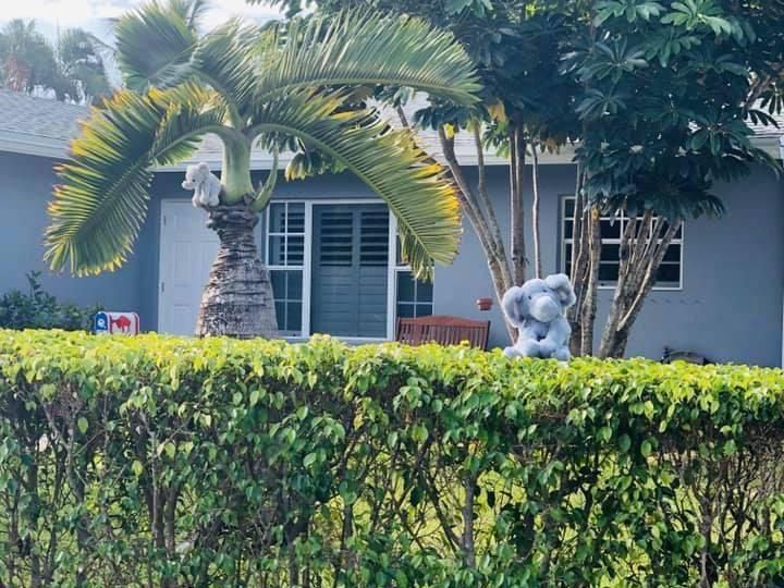 Lihat Kreatifnya Warga Sulap Perumahaan Jadi Wisata Kebun Binatang
