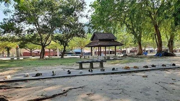 Polisi beri makanan di tengah corona