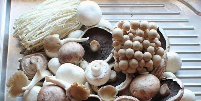 Cara Memasak Jamur Agar Enak dan Juicy Rasanya