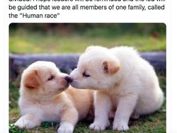 Ini yang Ingin Dilakukan Netizen Saat Wabah Corona Berakhir