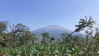 Trabas Gunung Sumbing Masih Dilarang, Ini Surat Aturannya