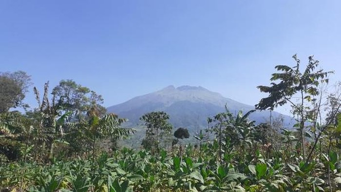 Gunung Sumbing