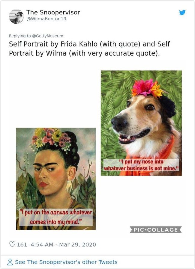 Bukan cuma Life Imitates Art, tapi seni juga menginspirasi binatang piaraan kita. Netizen yang satu ini niat banget mendandani anjingnya supaya mirip pelukis feminis Meksiko Frida Kahlo. (Foto: Twitter)