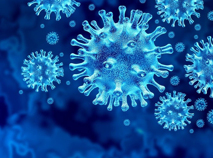 virus corona virus corona