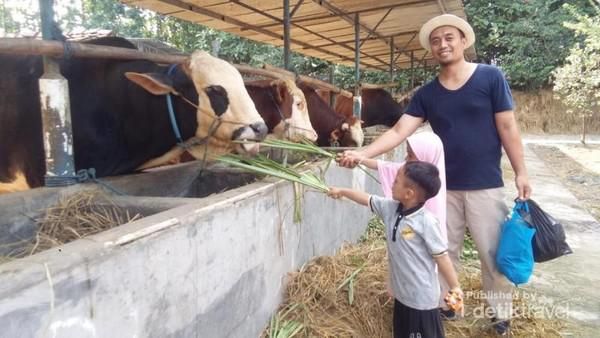 Mengintip Wisata Unggulan Tegal yang Kini Lockdown