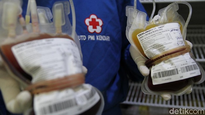 PMI Sultra kehabisan stok darah di tengah pandemi Corona (Sitti Harlina/detikcom)