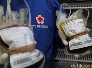 Tak Ada Donor Saat Pandemi Corona, PMI Sultra Kehabisan Stok Darah