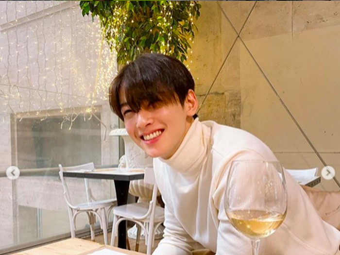Cha Eun Woo