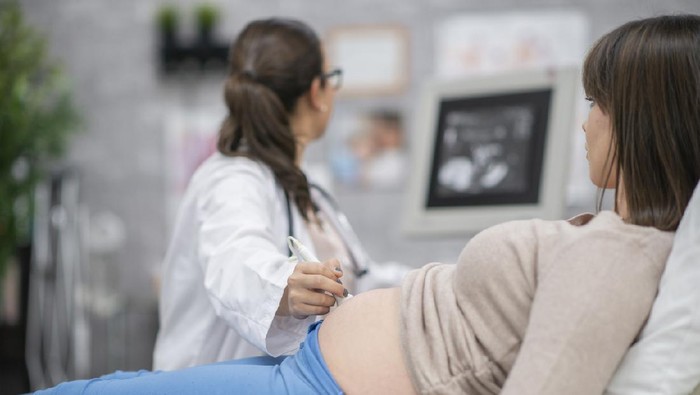 A female doctor and pregnant woman are inside a hospital room. The doctor is looking at a computer screen while performing an ultrasound.