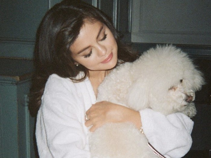 Rekomendasi lagu dan film dari Selena Gomez