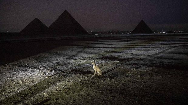 The Ministry of antiquities lights up the pyramids in an expression of support for health workers battling the coronavirus outbreak, Monday, March 30, 2020, in Giza, Egypt. (AP Photo/Nariman El-Mofty)