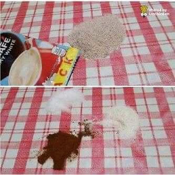 netizen gabut