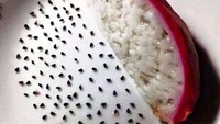 Buah naga umumnya bisa langsung dimakan bersama bijinya. Tapi karena gabut dan nggak ada kerjaan, netizen ini sampai memisahkan biji buah naga dan dagingnya. Butuh waktu berapa lama ya? Foto: istimewa