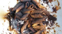 Lupa saat masak pasta, beberapa mahasiswa ini tidak tuangkan air ketika merebus pasta dan hasilnya jadi seperti ini. Foto: Istimewa