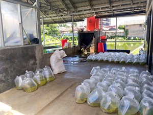KKP Minta Akses Pengiriman Logistik Perikanan Tak Dibatasi